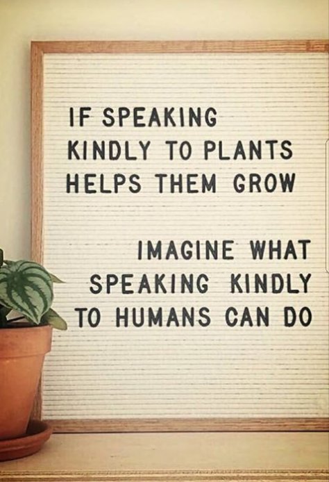 kind_matters's tweet photo. https://t.co/8eSsa7lkE7