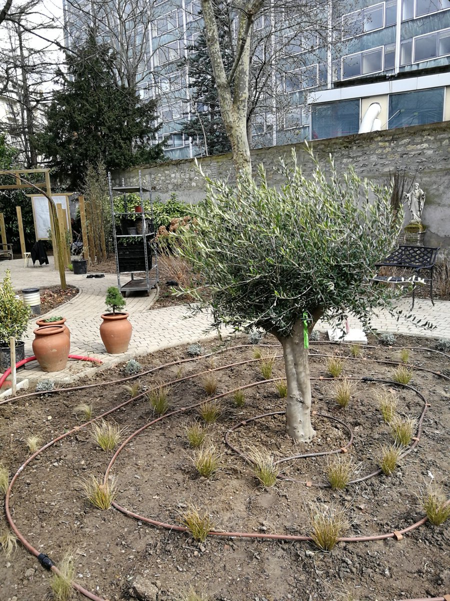 Maison Médicale Jeanne Garnier tweet media