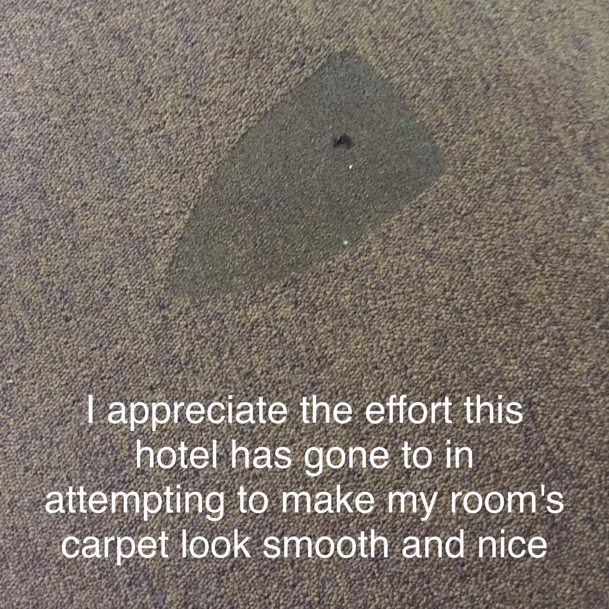 crappacking's tweet image. Interesting idea, slightly flawed (floored if you will...) delivery. #hotel style