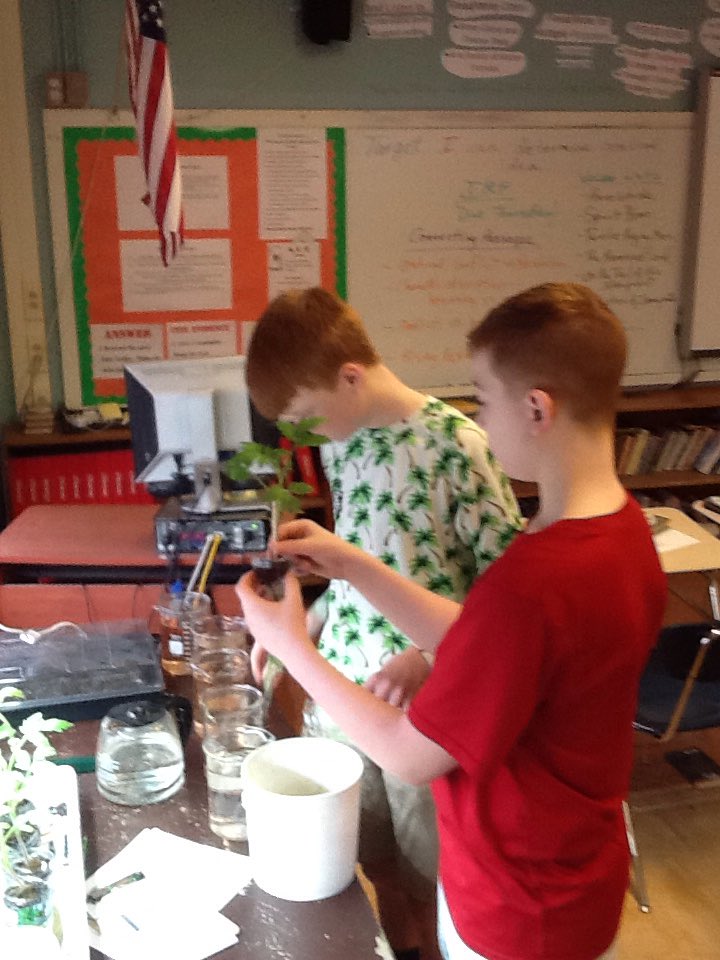 TeamInnovateMMS's tweet image. Checking nutrient levels in hydroponic growing systems. @adkfound @AdkFarmtoSchool @RulfsOrchard @NewYorkAITC @nyagandmarkets @mcsdMMS @MaloneCSD @OpenAgFD @MITOpenAg @ccecornell #farmtoschool #agintheclassroom