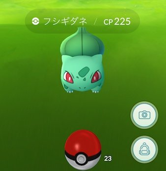 ポケモンgo攻略 みんポケ 発生している不具合と修正状況 Iosでカタカナ入力や変換ができない不具合が修正 画像1 図鑑でポケモンをスライドしていくと3匹目以降の性別が表示されない不具合が発生中 画像2 その他の不具合はこちら T Co ポケモンgo攻略 みんポケ 発生している不具合と修正状況 Iosでカタカナ入力や変換ができない不具合が修正 画像1 図鑑でポケモンをスライドしていくと3匹目以降の性別が表示されない不具合が発生中 画像2 その他の不具合はこちら T Co