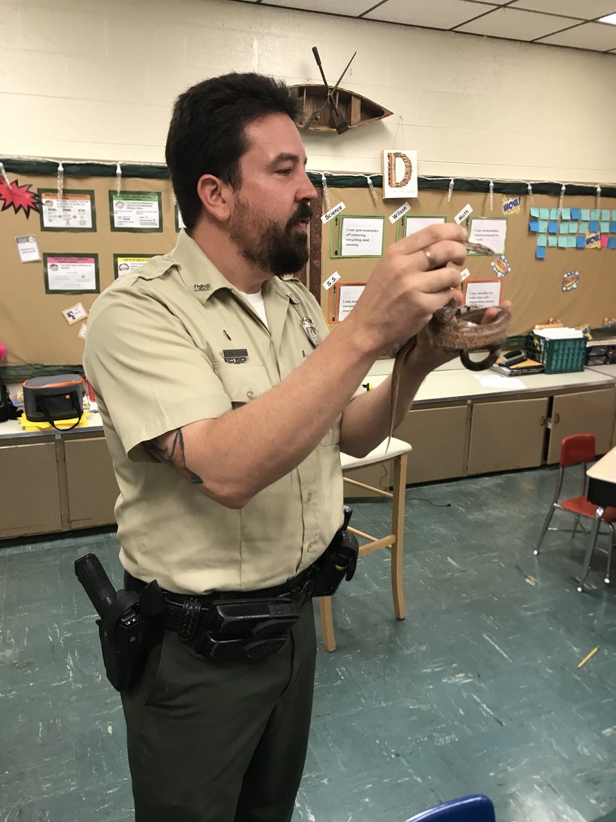 Second Grade tweet media