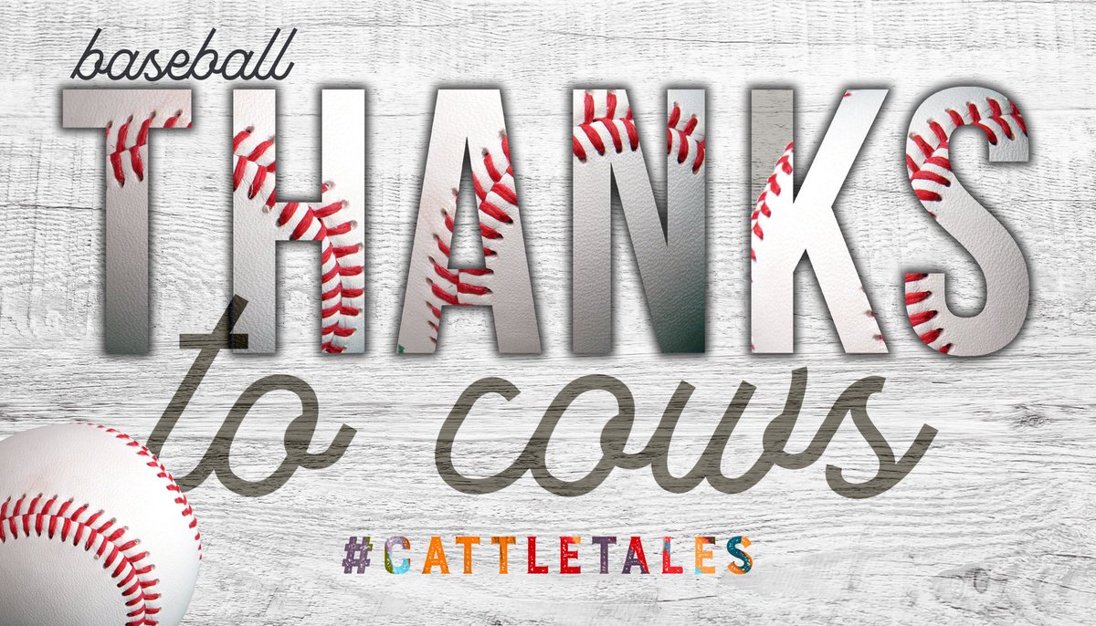 CattleTales's tweet image. Take me out to the ball game
Take me out with the crowd🎶

Who’s excited for #OpeningDay2018? We are, thanks to cows!

DYK: 1 cowhide = 144 baseballs
1 cowhide = 5 baseball gloves
#cattletales