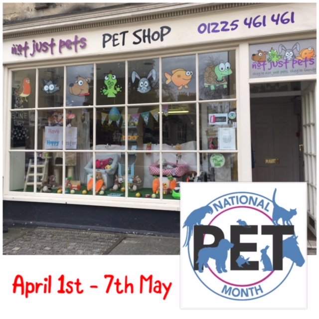 NotJustPets's tweet photo. This Sunday marks the start of #NationalPetMonth. Join us in store for a whole month of celebrating #NPMLaunch #Bath #Frome https://t.co/9qLLLORa08