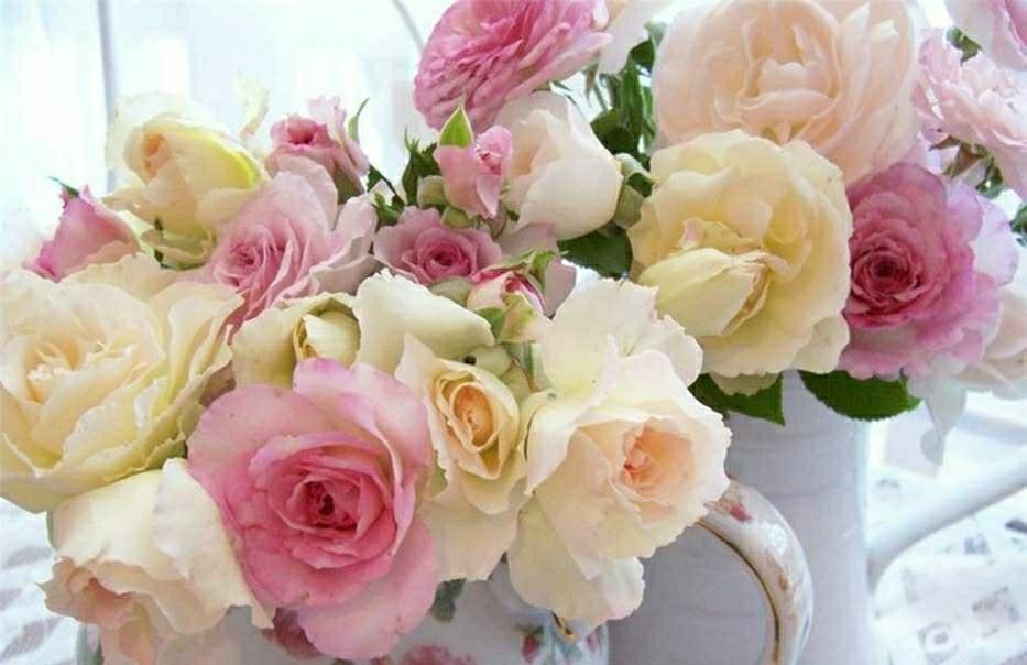 NkViktori42's tweet photo. @miracle_777_ @viktorinini @_L_Boss @cc_chicco @valeriazolota @04kazumi17 @bettinaschroed5 @AraiEij @NataliyaVF @marienassar_ @ANASTALYA @pintsize73 @MarionSpekker Привет,Марина и Все🌟😘🌟🌹 Красоты вам в ленту🌿🌺🌿🌺🌿 https://t.co/hgo4ZbzoMy