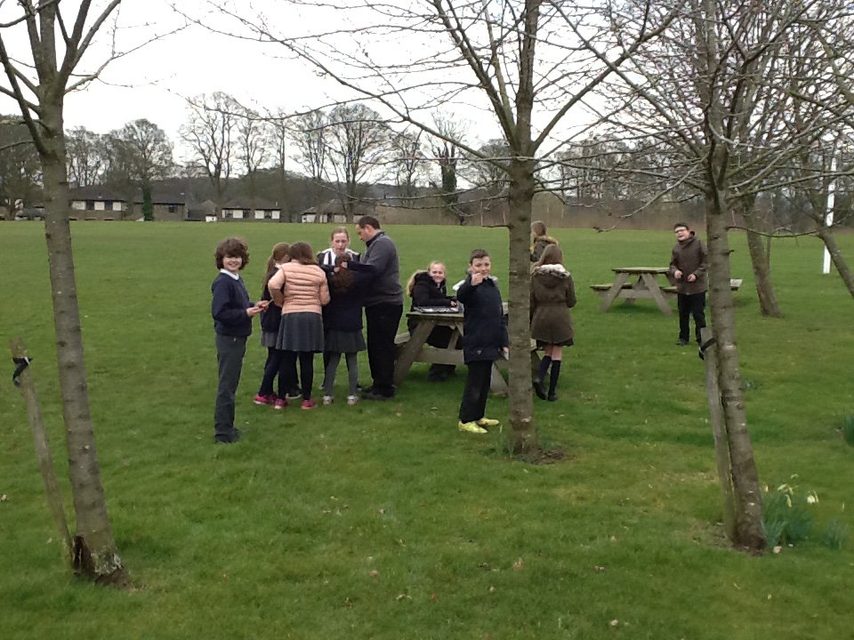 Baildon CE Primary School tweet media