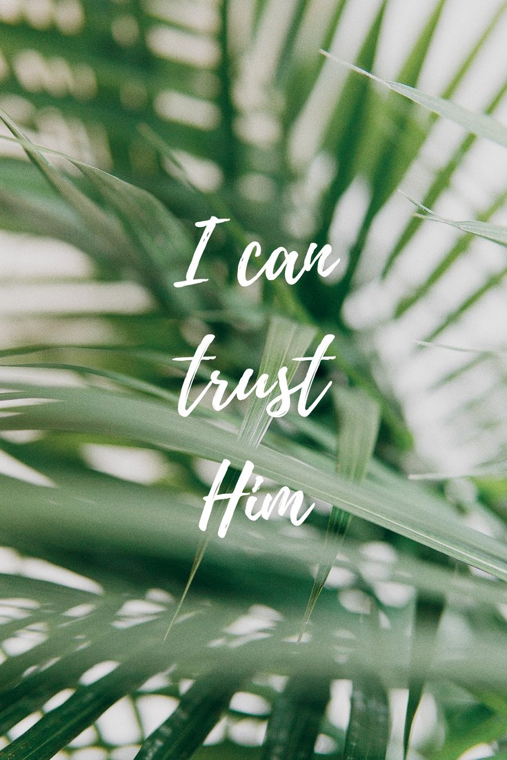 wollcm's tweet photo. Need a new #LockScreen picture? We’ve got you covered. Save your favorite! https://t.co/xpWxLLIZSf