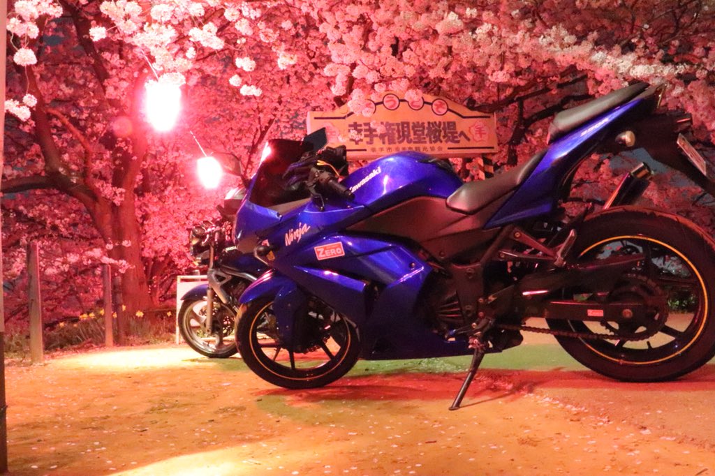 oorcpp's tweet photo. 幸手市の権現堂行ってきました！桜を楽しみながらバイクも眺めるお花見はまた格別ですね笑 https://t.co/leHMjkmZpw