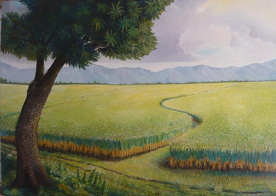ArteJuanAndara's tweet photo. Arrozal en Agua Blanca óleo/lienzo 100x140 2014 Colección #CelebraciónALaAgricultura #fineart #painting #artwork #paisajevzla #landscape https://t.co/iPDzx6A1X8