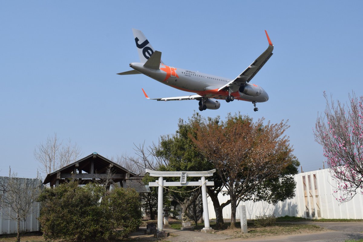This is a beautiful #Shinto #Shrine that I visited yesterday, near