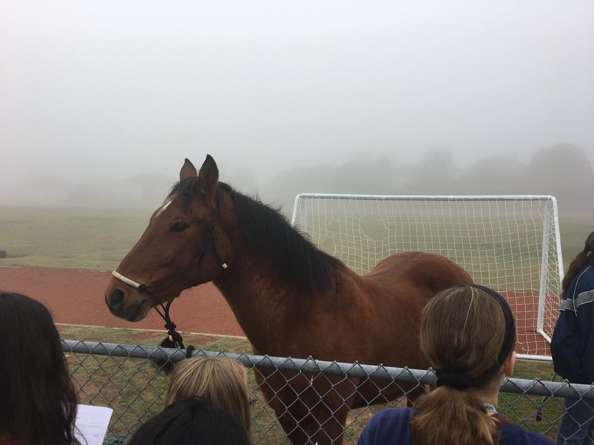 Nole2007's tweet photo. 7th grade History lovers learning about the cowboy and their tools @RCMSCowboys #RCMSHistory #TXHistory https://t.co/566tQBzpha