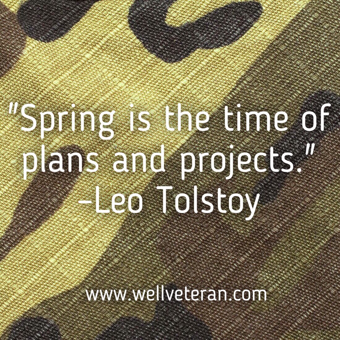 Spring is a season for taking action, according to traditional Chinese wisdom. Nature teaches us that spring is a time of rebirth and renewal. #veteran #spring