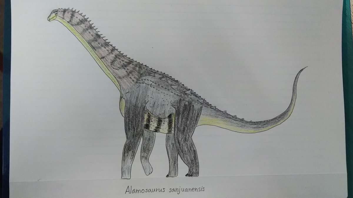 K Jp境界より Twitterissa けっこう前 そうでもないかも に描いたアラモサウルス 竜脚形類他のも描いておこっかなぁ アラモサウルス一頭だけだと可哀相だし アラモサウルス 竜脚形類