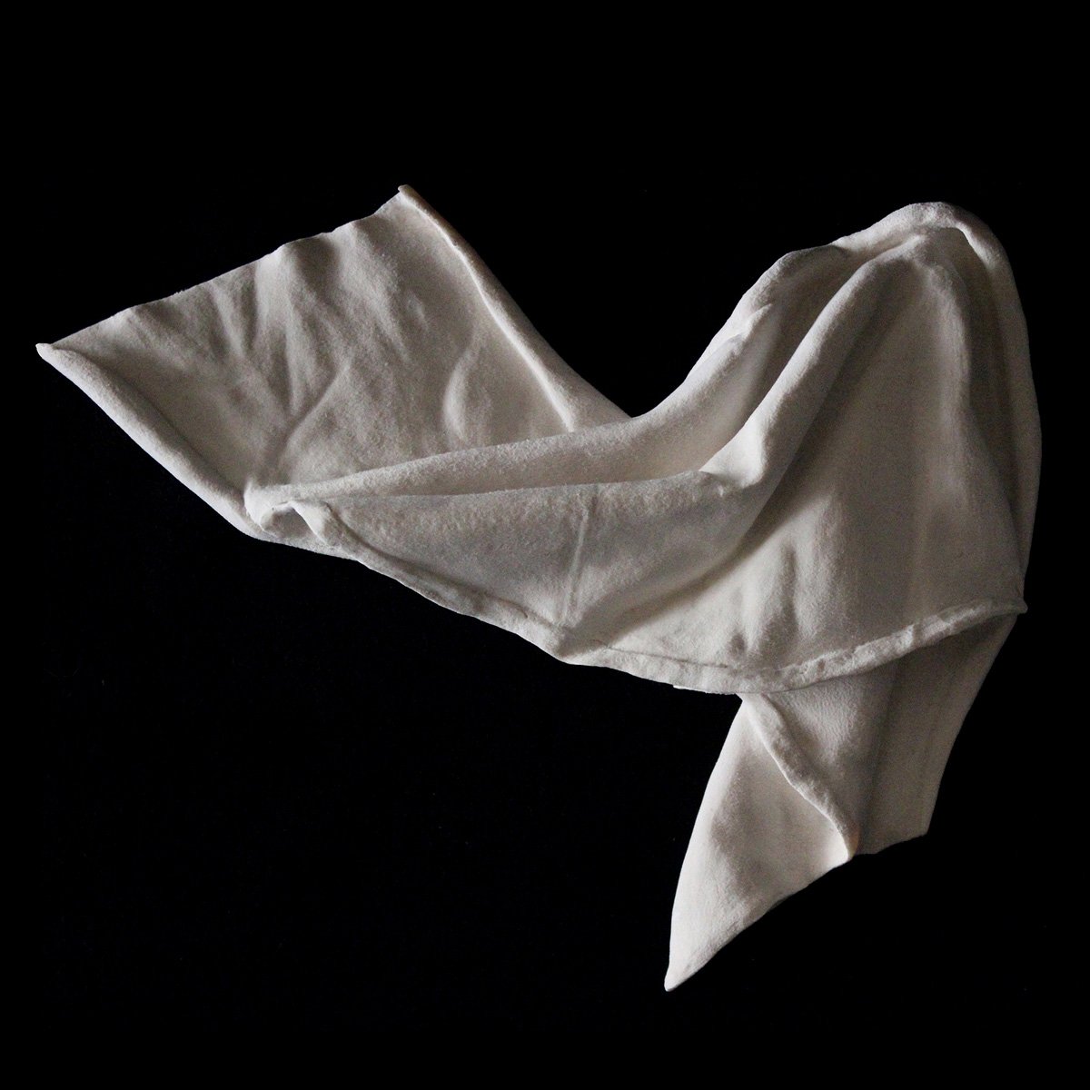 AdamBlaue's tweet photo. Another amazing piece by Tom Eckert titled Rag Study
#Art #WoodArt #WoodSculpture #Sculpture #AdamBlaueGallery https://t.co/usCfK6VjIX