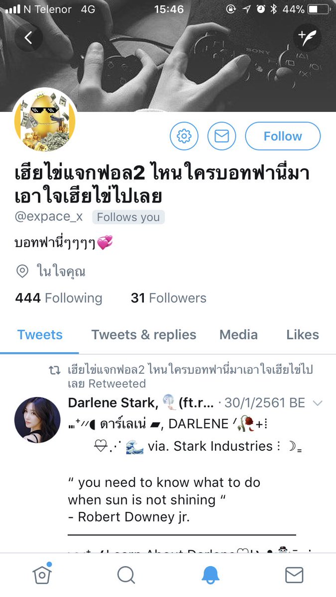 annaliese tweet media