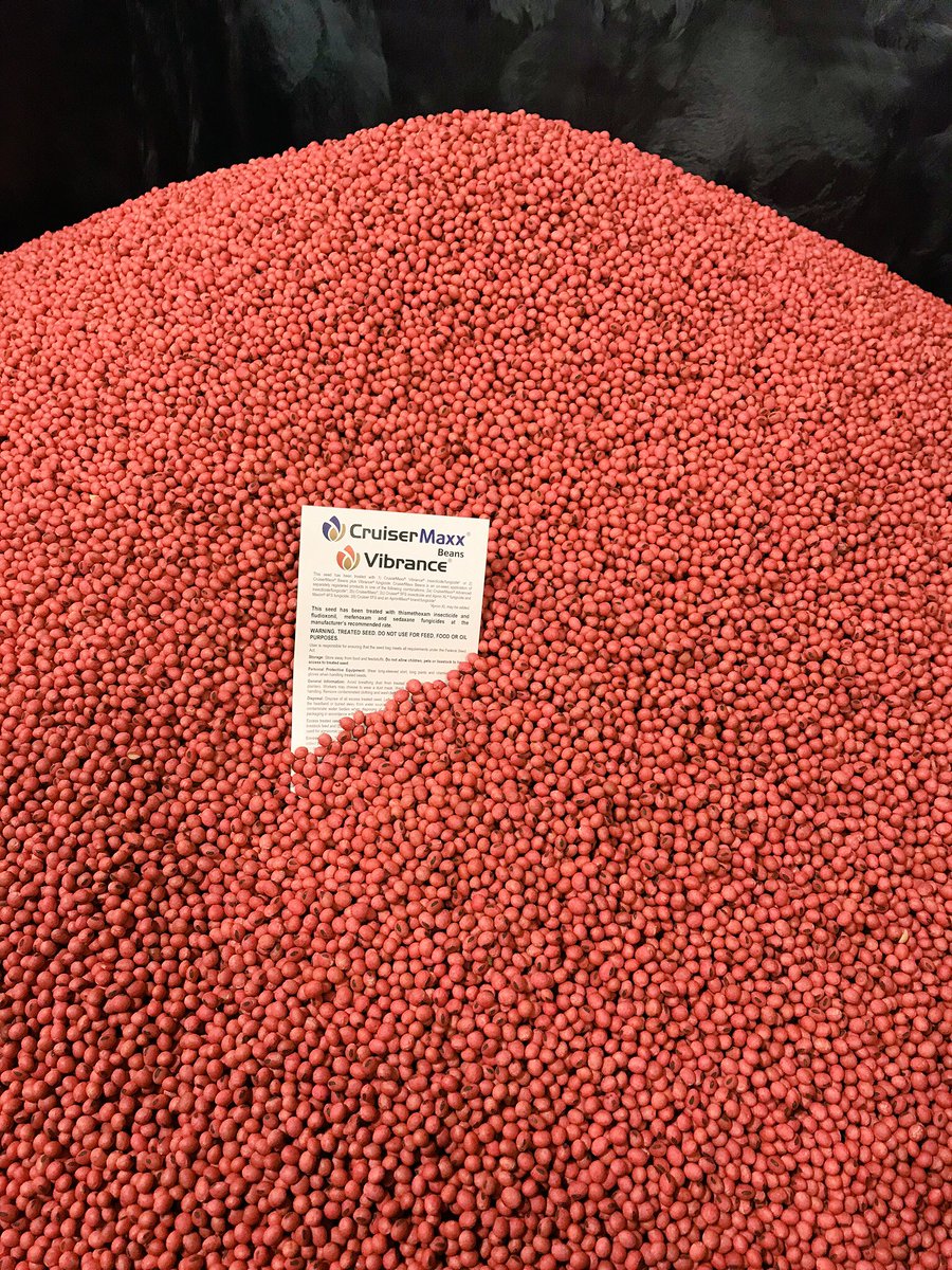 claytonkoenig's tweet image. #perfect! Another box of @GldnHarvest beans treated with #cruisermaxxvibrance and inoculant! @SyngentaUS