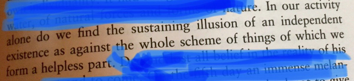 Mined Oud tweet media