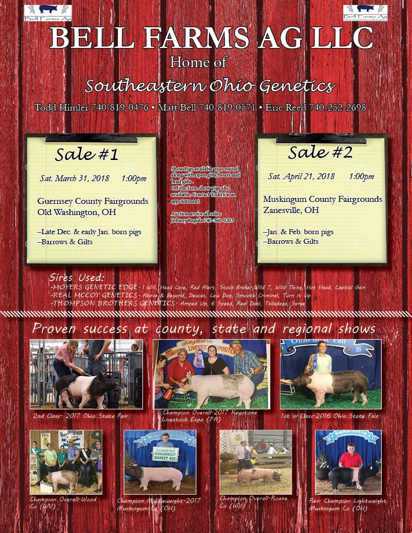 Come check these out on Saturday