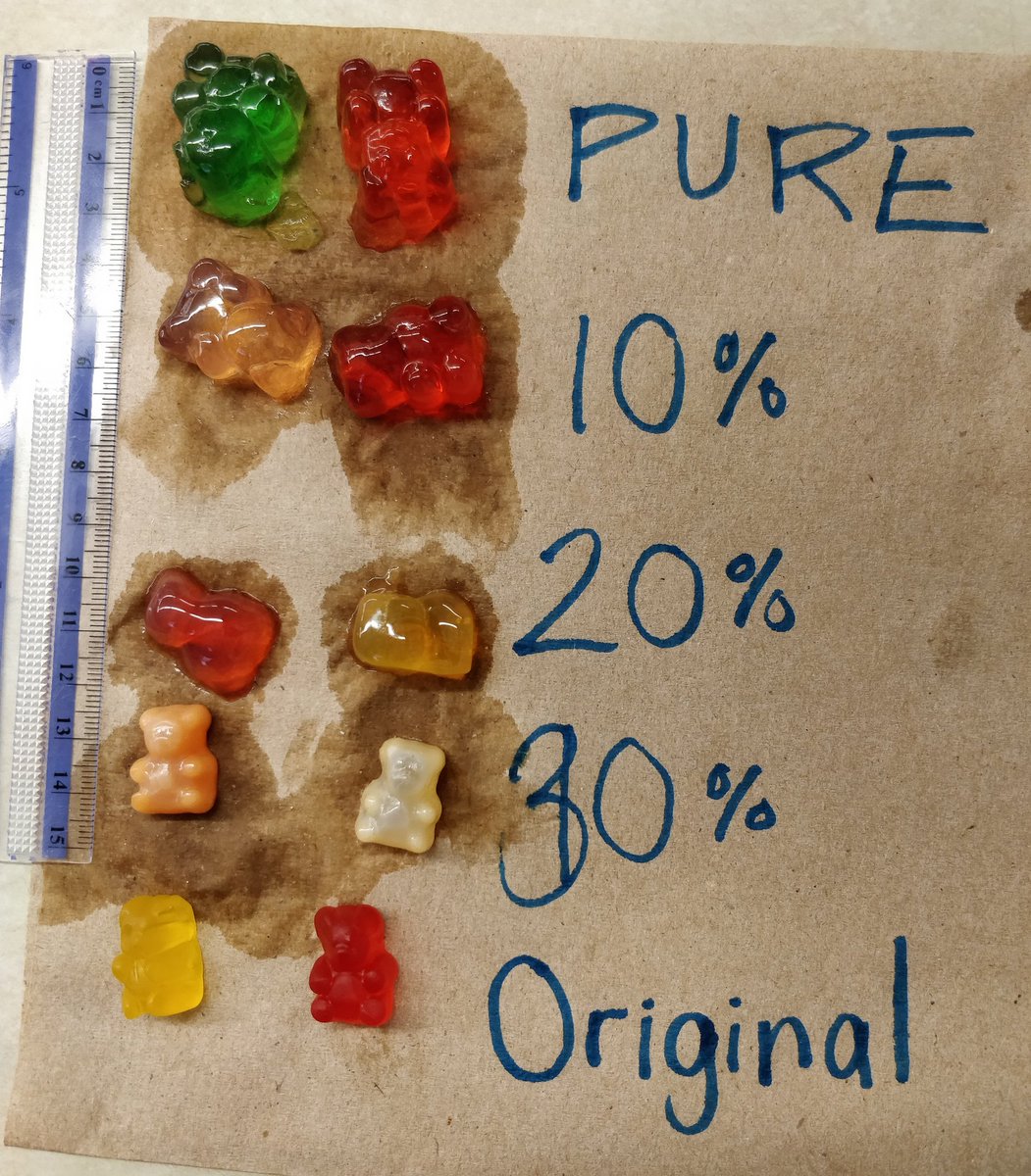 GLewisOCT's tweet photo. The results of our Gummy Bear Osmosis lab: Day 2 comparison #semipermeable #awwShesSoCute #ohNoHeBroke @robertdaddario @lukemteacher @bpcaverhill @MarkZochowski @mfrank_76 #scichat https://t.co/enmB2soV4I