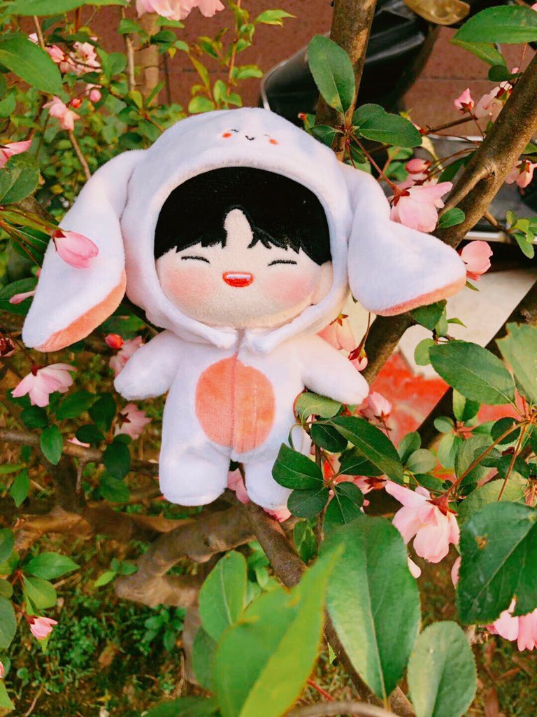 ✨환불중✨ 갓끼혀니 🐰 tweet media