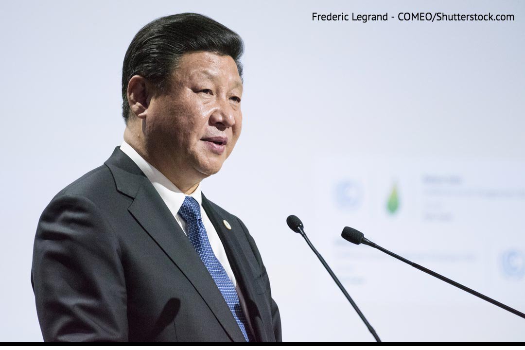 download Kitchen Science