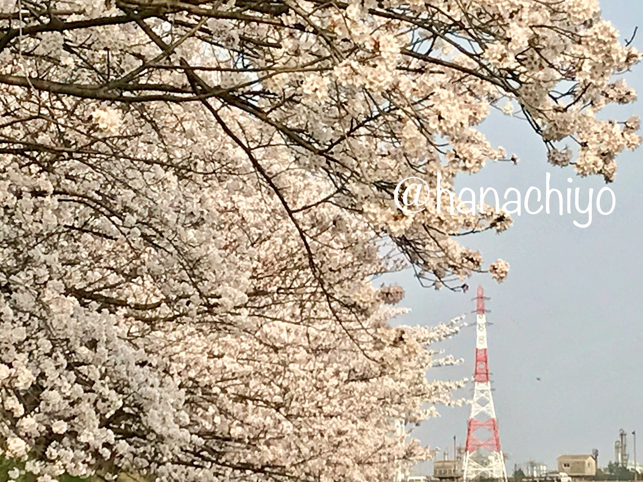 海蔵川 Twitter Search Twitter