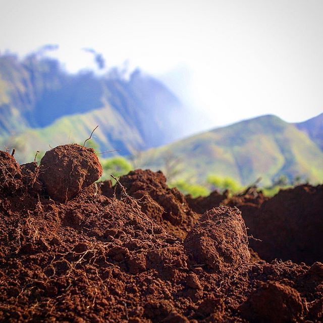 Our most precious resource let’s please take care ! 
@thepermaculturestudent @sashamonhi @kisstheground @_amandapowell_ @slackbarrett @amandapuawalsh <a href="/curacaos/">tianne angela</a> @kalanirobb @7till8wetsuits <a href="/hq4kites/">Loriann</a> <a href="/sustainsurf/">SeaTrees</a> @forming_solutions_icf @goldencoastmead  we… ift.tt/2Gk9Pms