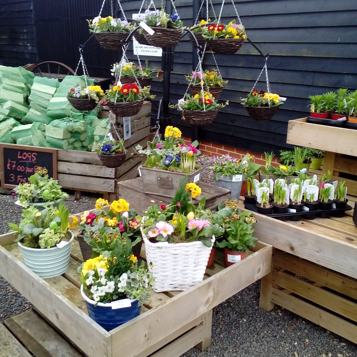 Media Tweets by Riverbank Nursery (RivBankNursery) Twitter