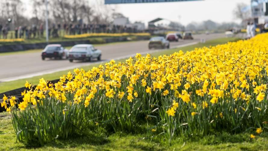 Ellie0Martin's tweet photo. What a great picture for the Easter weekend #daffodils #goodwoodmotorcircuit https://t.co/rJekFLjIcL