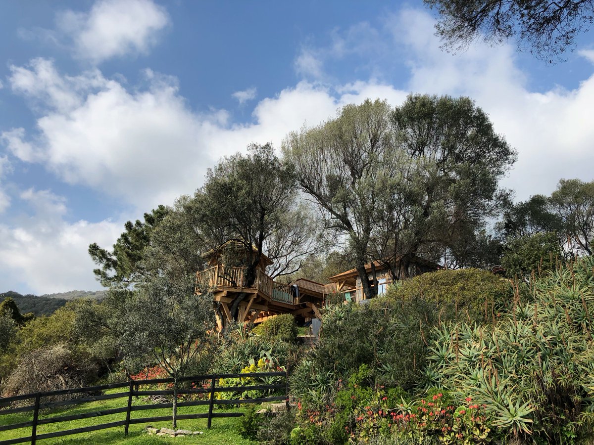 NIDPERCHE's tweet photo. @NIDPERCHE en chantier en Corse pour 2 nouvelles cabanes #nidperche #workinprogress #cabane #treehouse #cabin #corse #corsica #wood #woodworking https://t.co/3u2afnEiHV