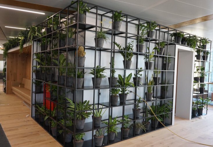 Together with Jeroen van der Vleuten Interieurbeplanting we made the steel construction for this "Green Wall" for a project in Amsterdam. How nice to see what interiorlandscaping 2.0 brings to offices....