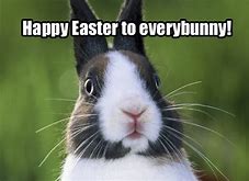YourEventScot's tweet photo. #HappyEaster from the #YourEventScotland team! We can't wait to put our feet up and relax this long weekend! No matter what you're doing or who you're spending Easter weekend with, we hope you have a great time #EasterWeekend #relax #familytime https://t.co/n3lzMoCnji