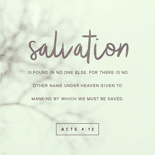 jeffhoenshell's tweet photo. Can’t believe I get to proclaim this powerful truth on the best day of the year! #Sundayiscoming @harvestfairfax https://t.co/JF8QcA6NLp https://t.co/F0G5p60IQF