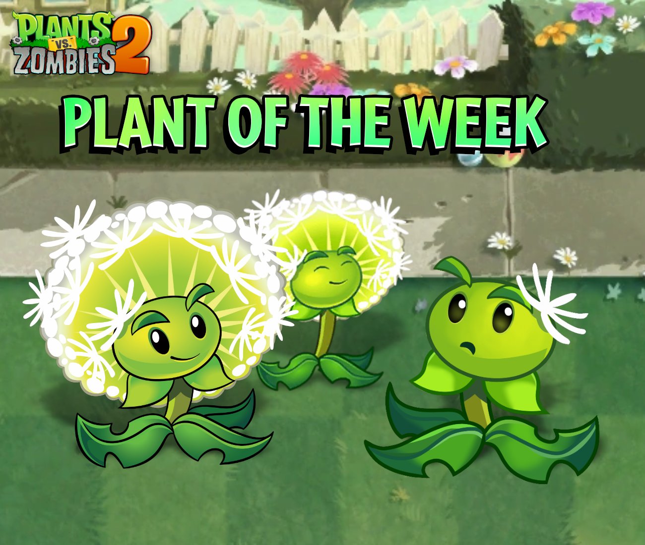 Official PvZ Wiki on X: Hey #PvZ2 Players, it's Dandelion week over in  PVZ2! Be sure to get as many seedpackets as you can for this plant! Check  the Plants vs. Zombies