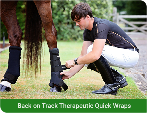 Shop Springtime Health &amp; Wellness Equine Products! <a href="/BackOnTrackProd/">Back on Track USA</a> Clinically proven to reduce pain &amp; chronic inflammation.  #horses #horseproducts #horsedeals #horsehealth conta.cc/2urQOgx