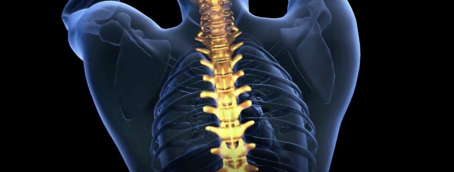 LAHSolutions_1's tweet photo. The #future is here. #spine #spinehealth #spinalhealth #spinalcorrection #health #medicine #louisiana https://t.co/n34UQtcLmC https://t.co/IueLOTcWbu