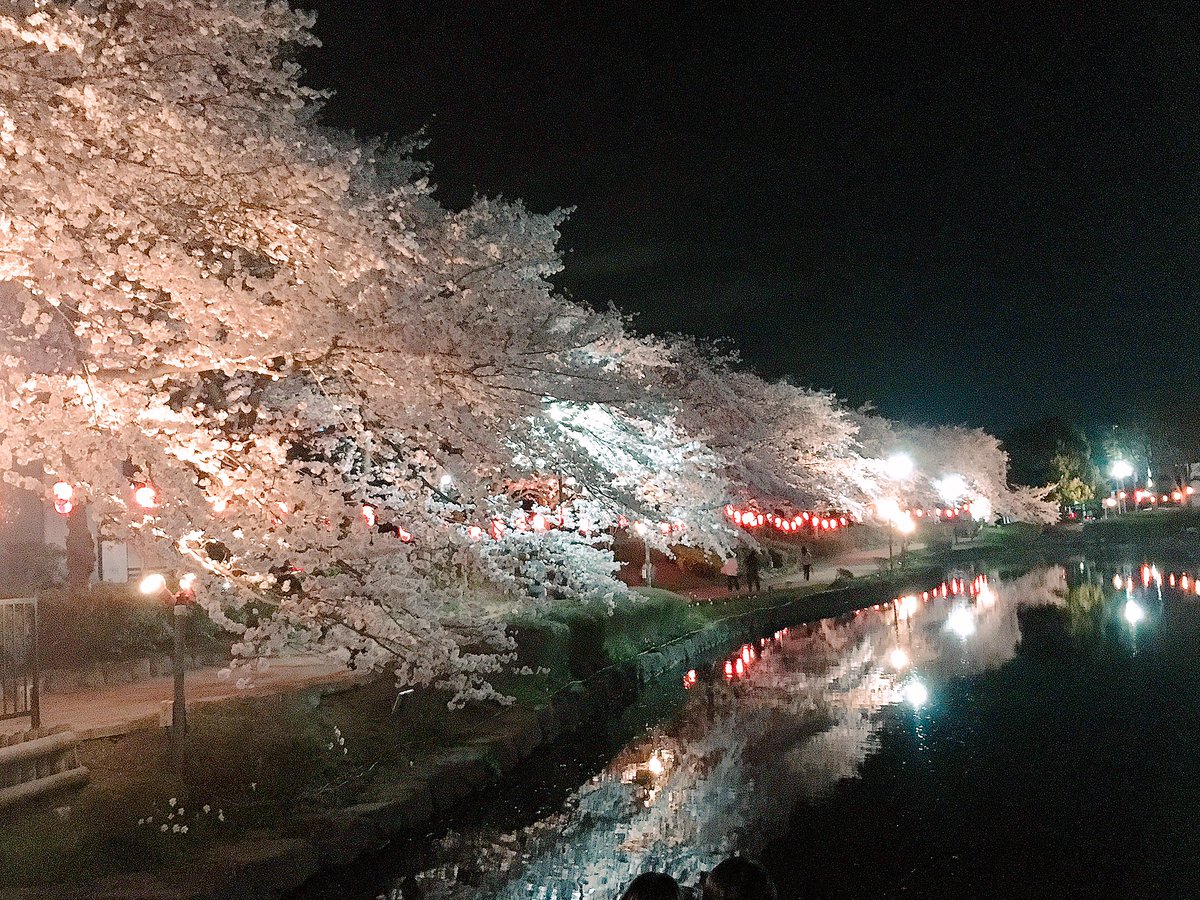 30ogawa's tweet photo. 東松山もいいところあるなあ😇
夜桜ほんっとに綺麗だった🌸 https://t.co/kZDDLYnZpU