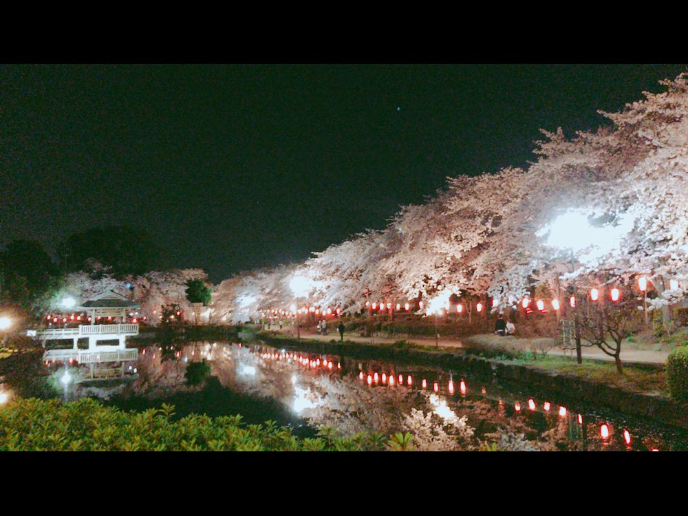 30ogawa's tweet photo. 東松山もいいところあるなあ😇
夜桜ほんっとに綺麗だった🌸 https://t.co/kZDDLYnZpU
