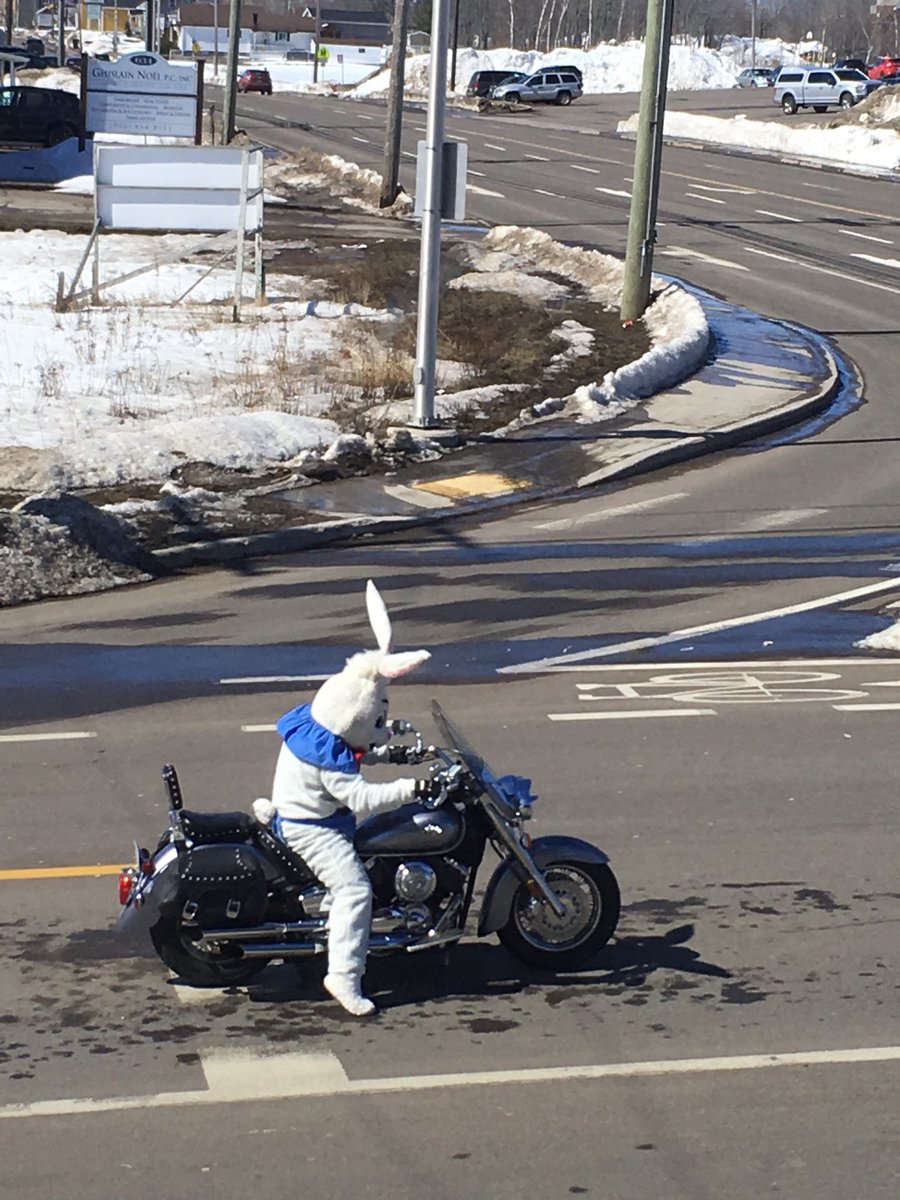 a1persol's tweet photo. The Easter Bunny cruising the streets of Dieppe! Saddle bags full of chocolate eggs? Hmmm https://t.co/vhGgX2AdjM
