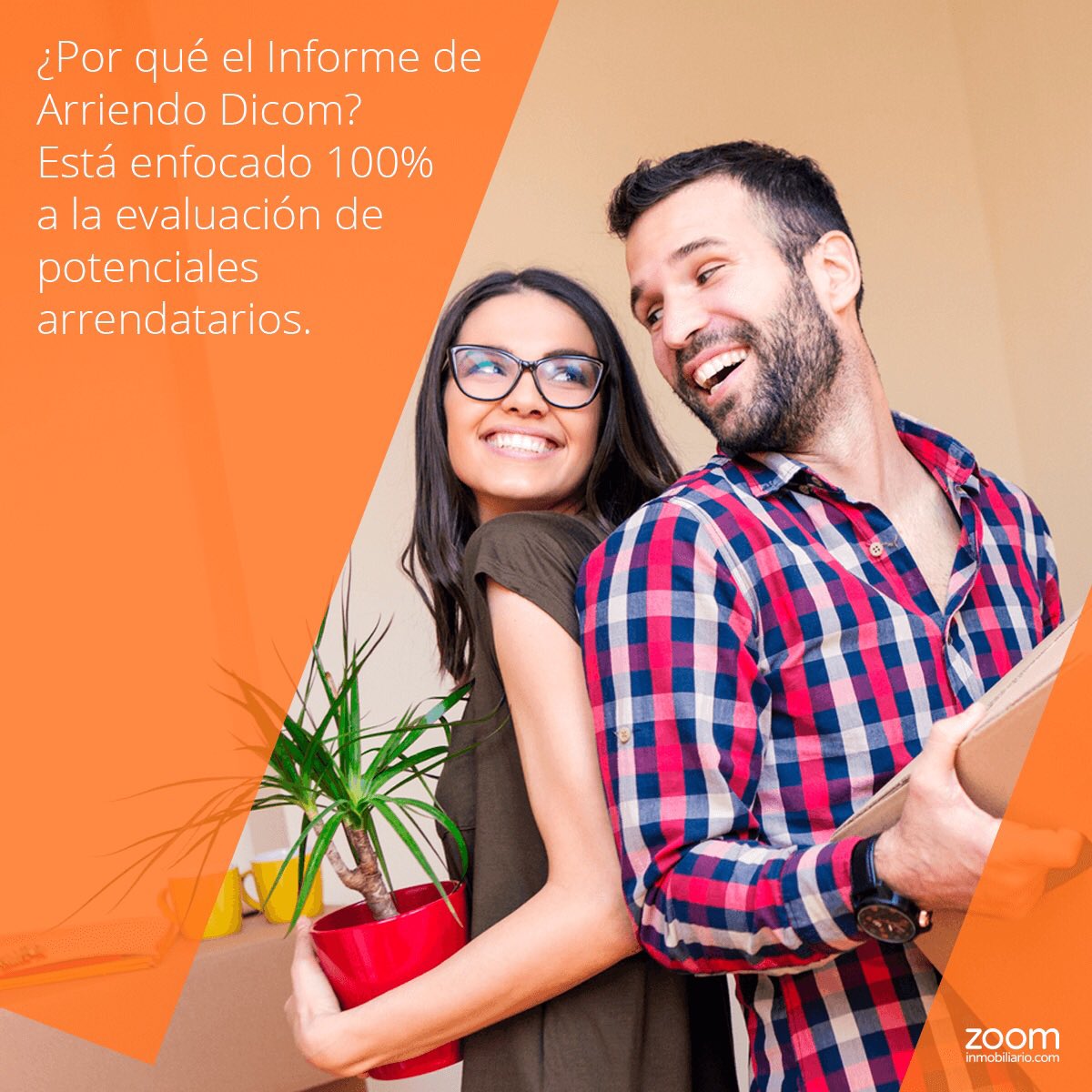 ZoomInmobiliario tweet media