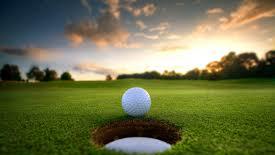 We are excited to announce our "Fun Golf Tournament to support the children with Special Needs here in Florida. Lots of Prizes and fun for all.
sskgolf.com