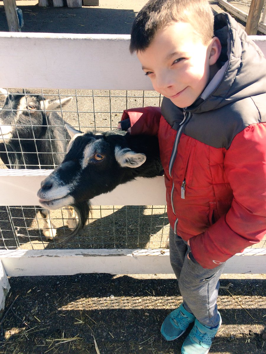 Baby goats + the <a href="/mnzoo/">Minnesota Zoo</a>= SPRING!!