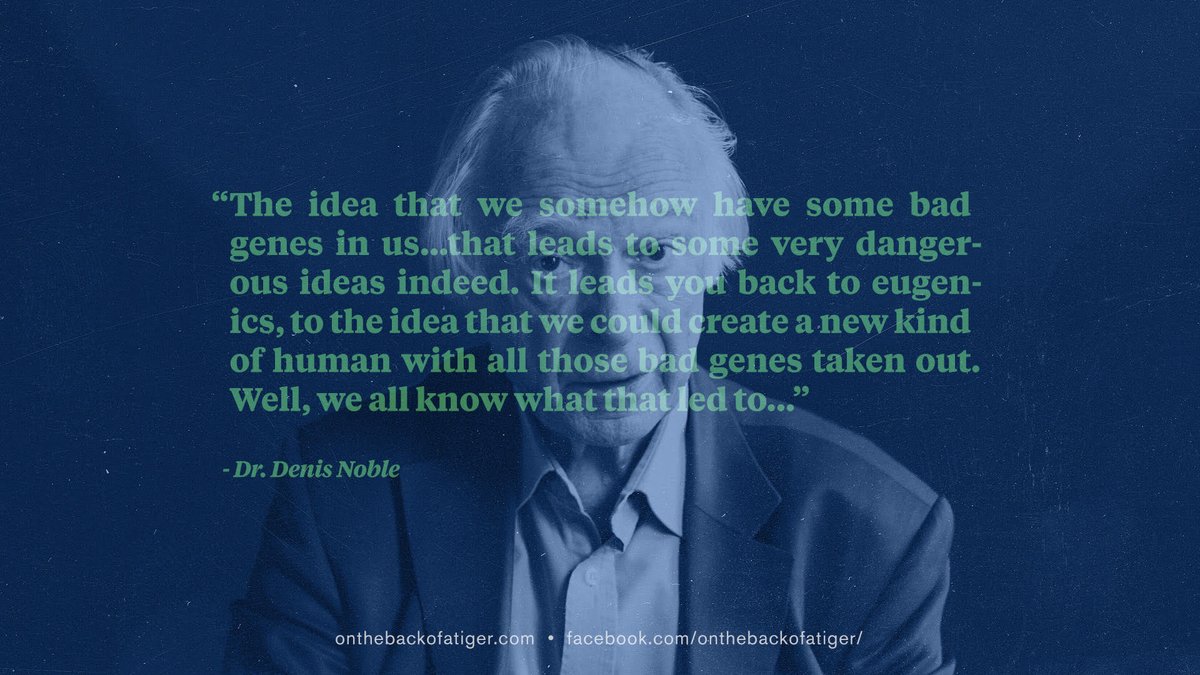 Backofatiger's tweet photo. Tiger interview subject, evolutionary biologist, and critic of neo-Darwinist dogma Dr. Denis Noble on the dangers of genetic determinism.
#onthebackofatiger  #science #dogmatism #raypeat #neodarwinism #geneticdeterminism #eugenics https://t.co/XnN7JTPPez