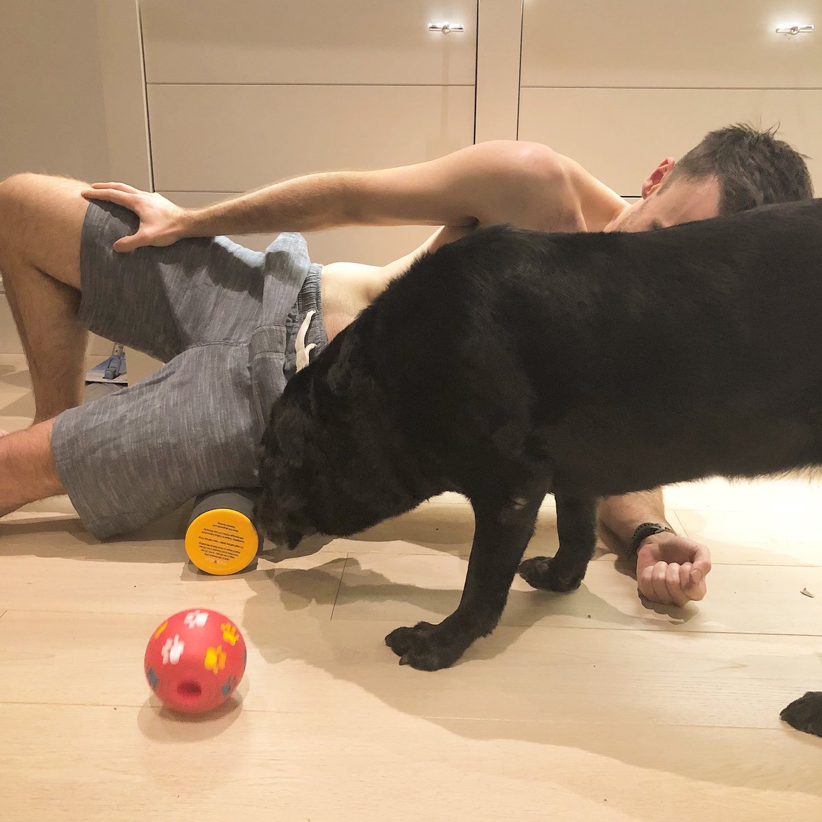 robcyoung's tweet image. Having an evening with @GoMoji heated foam roller!! Absolutely love it for Pre and post runs!! The heat therapy is a game changer for foam rolling!! Looks like Inca likes it too!!