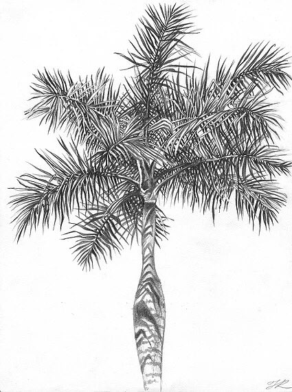 mayson_gallery's tweet photo. Nikolina Kovalenko, Palm Tree (2017). Graphite on Recycled Paper. 11 x 14 in. For purchasing info, see contact info in bio.
•
#art #painter #painting #paint #artist #color #gallery #nyc #nycart #design #instaart #artgallery #decor #newyork #LES #art #graphite #recycle https://t.co/1QVS2Z5jdS