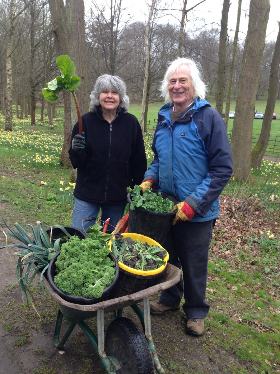 Some healthy produce being delivered to Hamilton's Tea Room by our fabulous landscape volunteers. All freshly grown and harvested from the Painshill Kitchen Garden. #healthyvegetables #hamiltonstearoom #landscapevolunteers #homegrown #kitchengarden