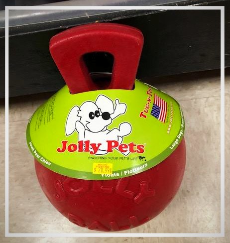 TampaDogTrainer's tweet photo. One of my favorite dog toys! #floridadogtraining #tampadogtrainer #helenescott #dogexpert #happywednesday #love https://t.co/uQTiUh0VfT