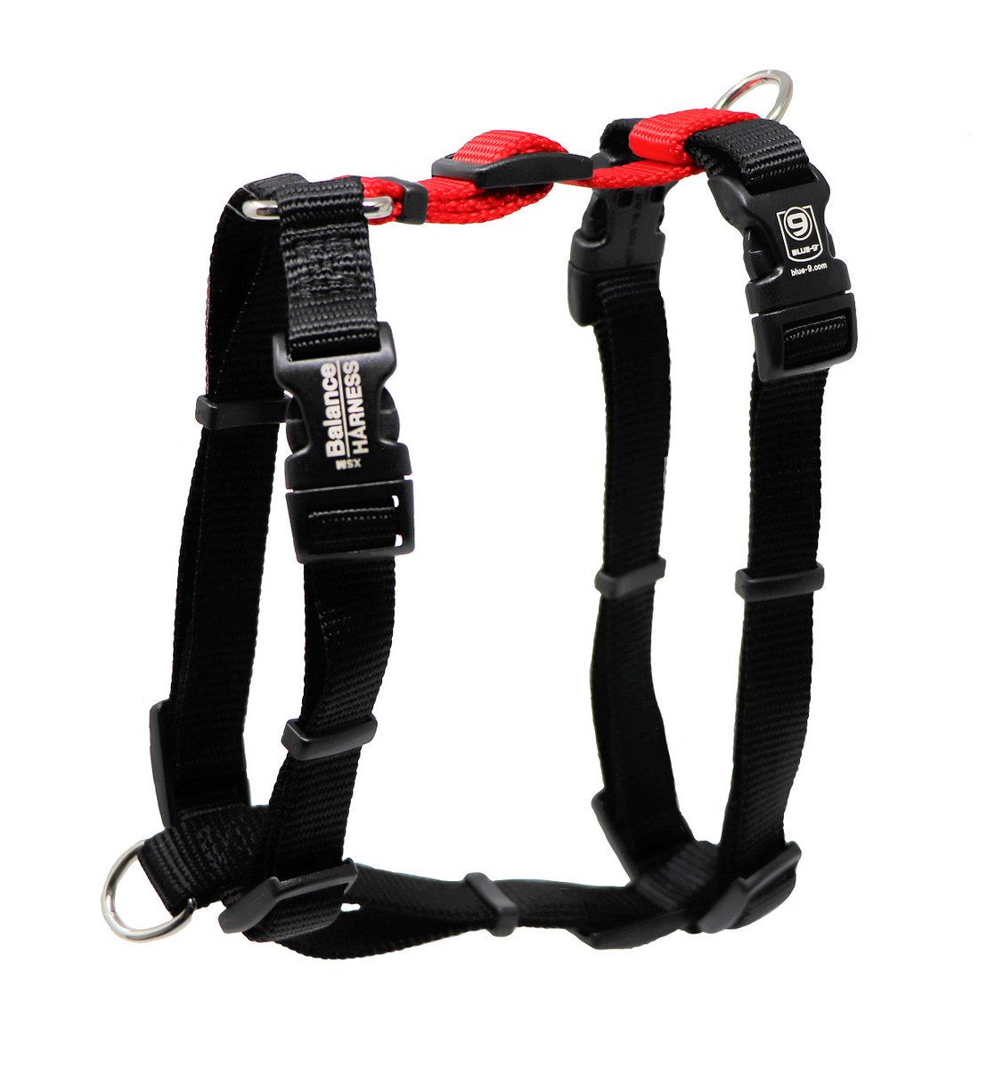 Bancroft Pet Shop Twitter