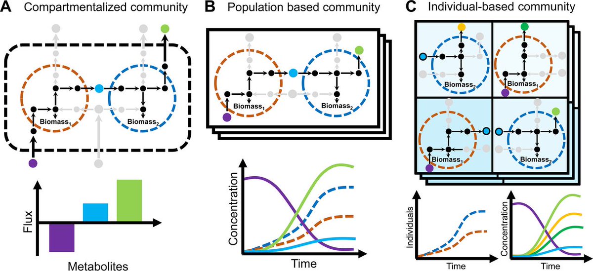 Molecular Systems Physiology Group (@ines_thiele) on Twitter photo Our new minireview on modeling human microbiome is out: From Network Analysis to Functional Metabolic Modeling of the Human Gut Microbiota, tinyurl.com/y93wvbt4 <a href="/mSystemsJ/">EIC Jack Gilbert</a>. Our new minireview on modeling human microbiome is out: From Network Analysis to Functional Metabolic Modeling of the Human Gut Microbiota, tinyurl.com/y93wvbt4 <a href="/mSystemsJ/">EIC Jack Gilbert</a>.