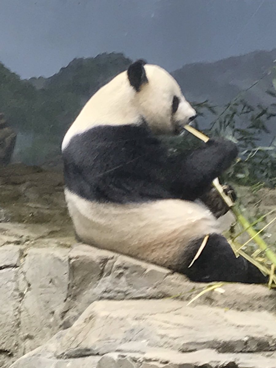 MrsLinvilleBV's tweet photo. At the Smithsonian Zoo; beautiful day! https://t.co/yG1hCCIK40